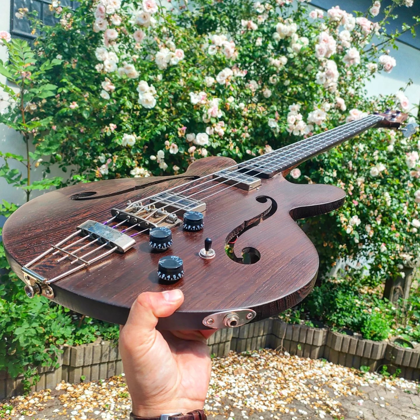 Bass, photo 1