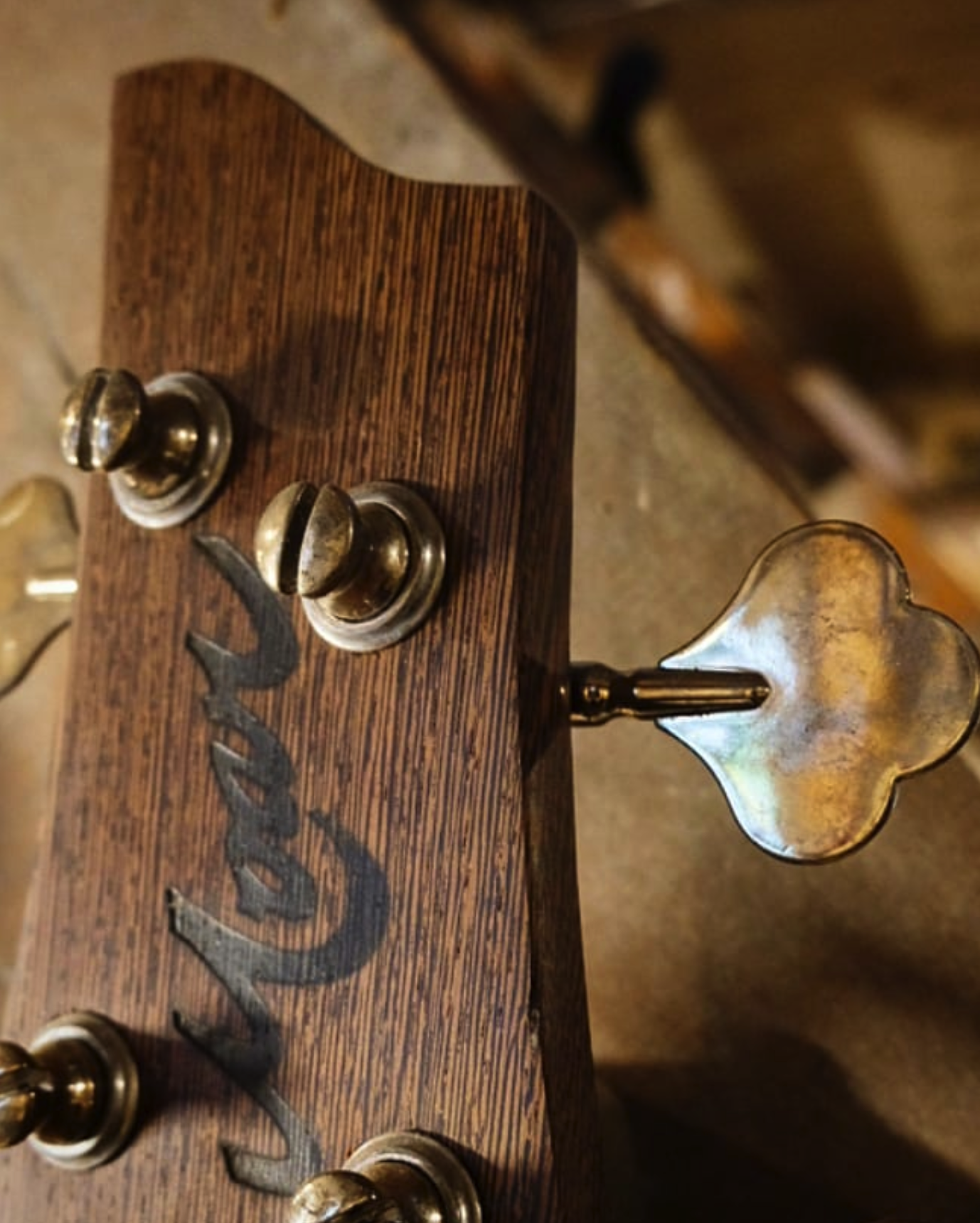 Bass, photo 3