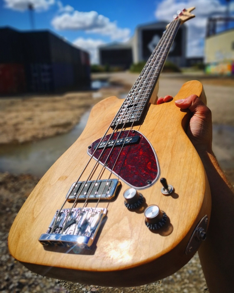 Bass, photo 4
