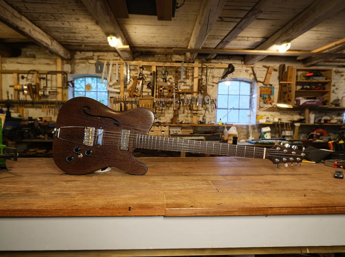 Morty, photo 6